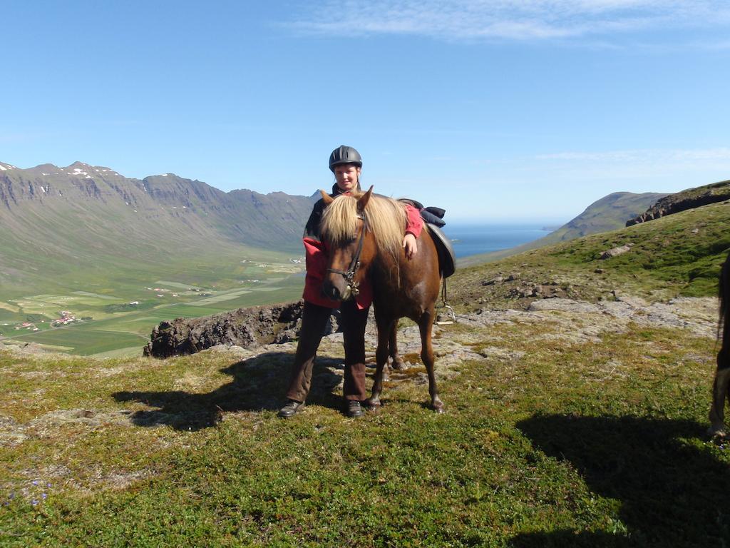 Skorrahestar Villa Neskaupstaður Dış mekan fotoğraf